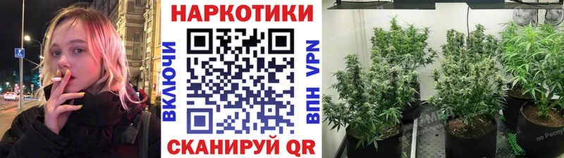 Где найти наркотики Энгельс Амфетамин  Меф  ГАШИШ  Лсд 25  КОКАИН  Галлюциногенные грибы 