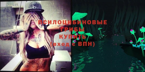 ешки Абинск