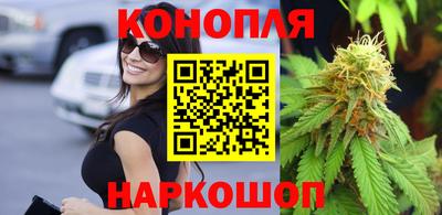 мяу мяу мука Новозыбков