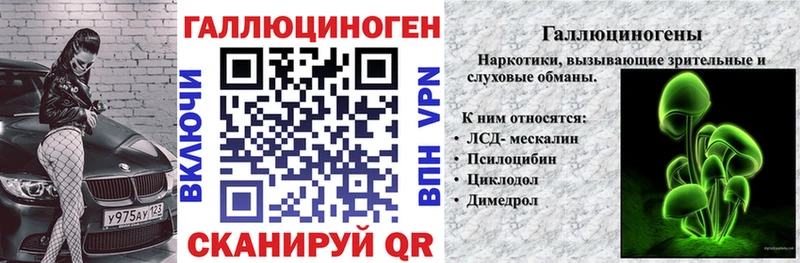 Галлюциногенные грибы Psilocybine cubensis  Энгельс 
