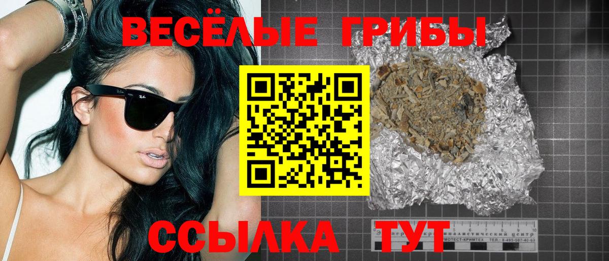 Псилоцибиновые грибы Magic Shrooms  где найти   Энгельс  Галлюциногенные грибы мухоморы  Вход с VPN 