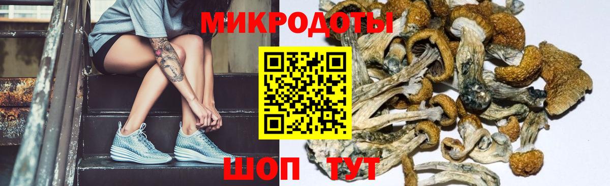 Галлюциногенные грибы мухоморы Энгельс