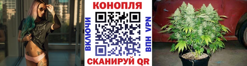 Шишки марихуана план Энгельс